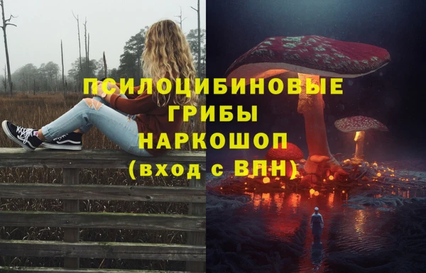 стафф Абаза