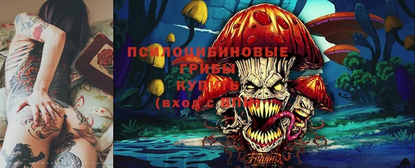 гидропоника Медногорск