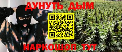 прущие крисы Можга