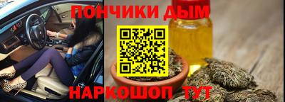 прущие крисы Можга