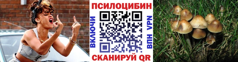 Галлюциногенные грибы GOLDEN TEACHER  Стрежевой 