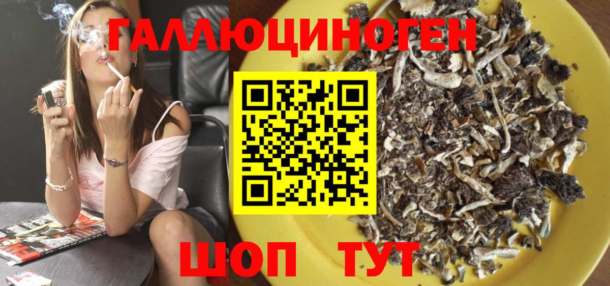 Псилоцибиновые грибы мицелий  Вход с VPN  Псилоцибиновые грибы Psilocybine cubensis  Стрежевой 