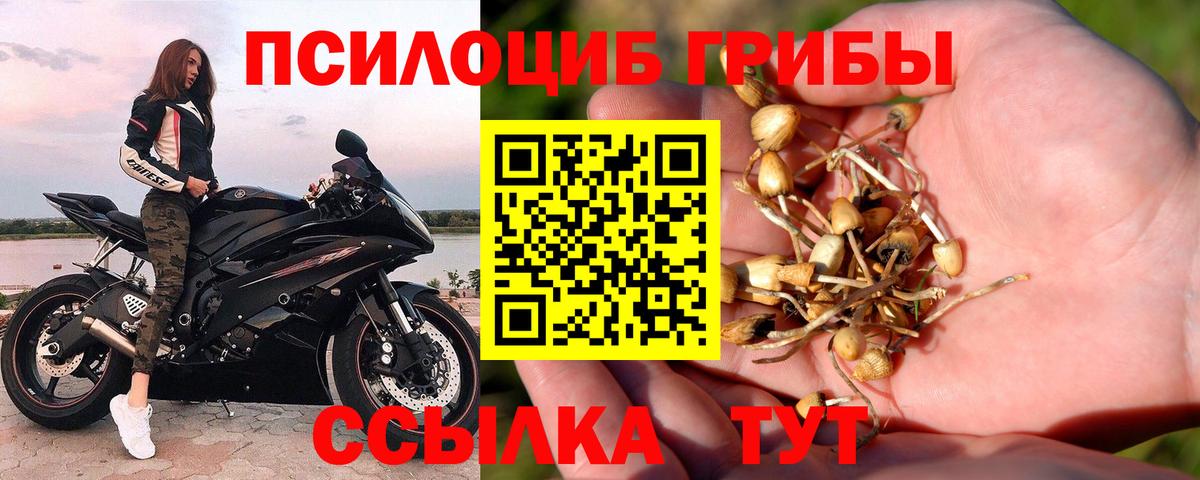 Псилоцибиновые грибы ЛСД Стрежевой